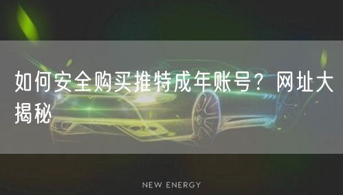 如何安全购买推特成年账号?网址大揭秘