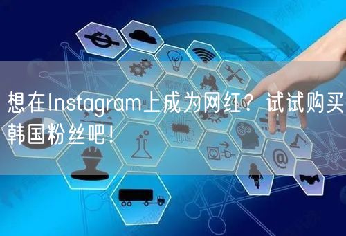 想在Instagram上成为网红？试试购买韩国粉丝吧！