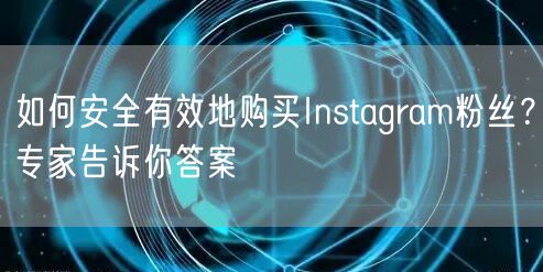 如何安全有效地购买Instagram粉丝？专家告诉你答案