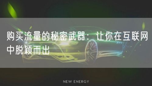 购买流量的秘密武器：让你在互联网中脱颖而出