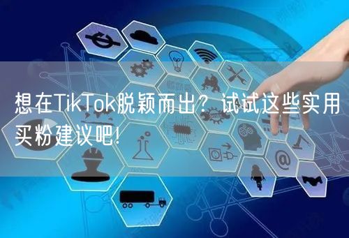 想在TikTok脱颖而出？试试这些实用买粉建议吧!