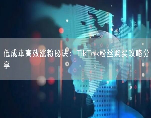 低成本高效涨粉秘诀：TikTok粉丝购买攻略分享