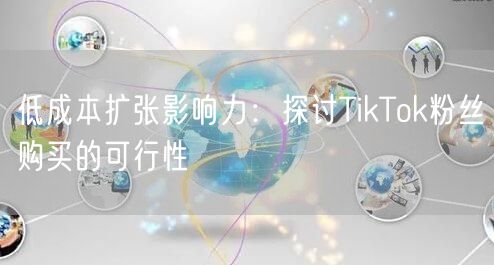 低成本扩张影响力：探讨TikTok粉丝购买的可行性