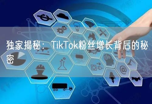 独家揭秘：TikTok粉丝增长背后的秘密