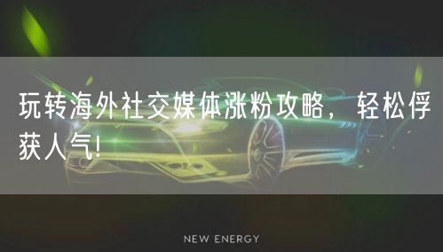 玩转海外社交媒体涨粉攻略，轻松俘获人气!