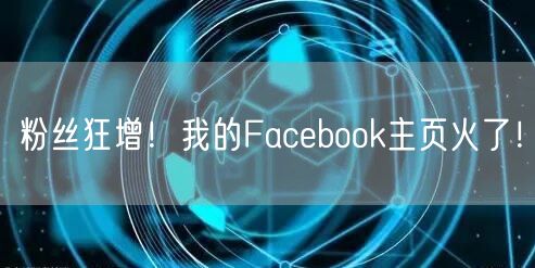 粉丝狂增！我的Facebook主页火了！