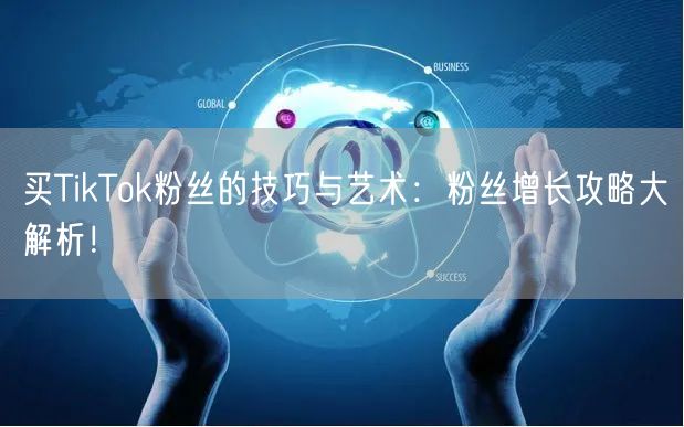 买TikTok粉丝的技巧与艺术：粉丝增长攻略大解析！
