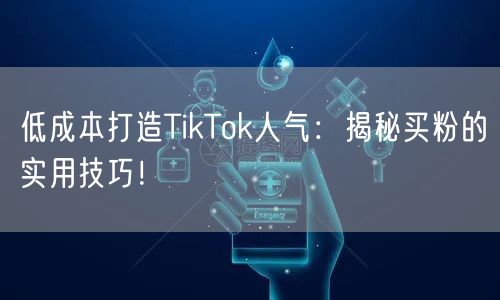 低成本打造TikTok人气：揭秘买粉的实用技巧！
