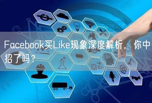 Facebook买Like现象深度解析,你中招了吗?