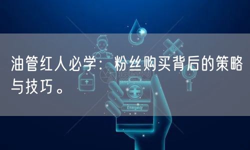 油管红人必学:粉丝购买背后的策略与技巧。