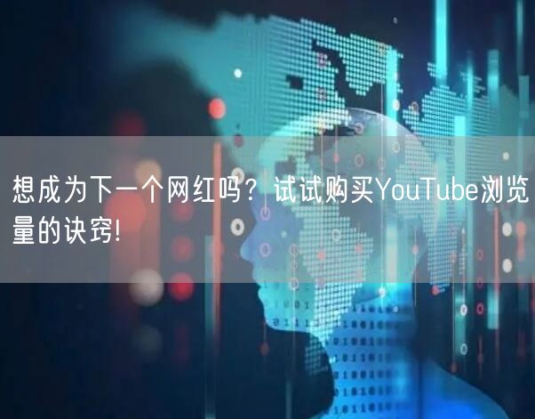 想成为下一个网红吗？试试购买YouTube浏览量的诀窍!