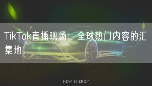 TikTok直播现场：全球热门内容的汇集地！