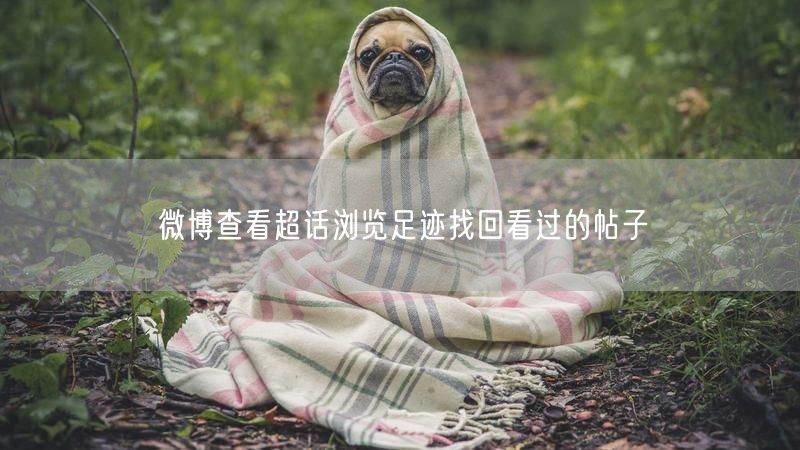 微博查看超话浏览足迹找回看过的帖子