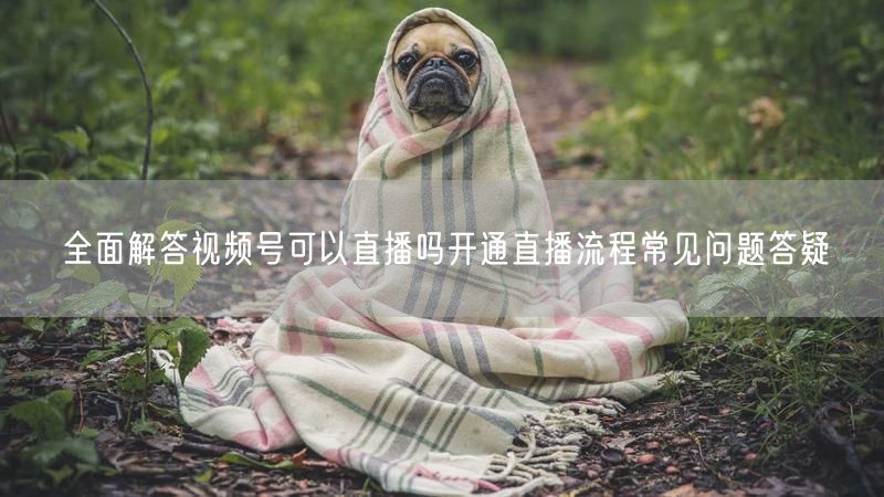 全面解答视频号可以直播吗开通直播流程常见问题答疑