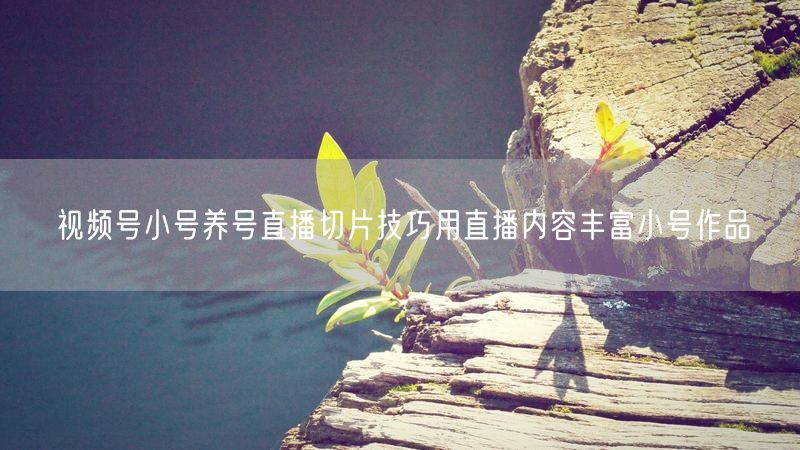 视频号小号养号直播切片技巧用直播内容丰富小号作品