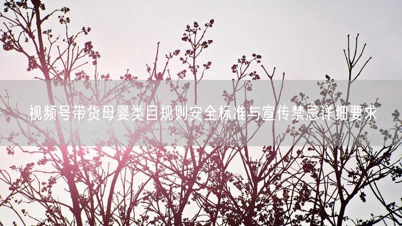 视频号带货母婴类目规则安全标准与宣传禁忌详细要求
