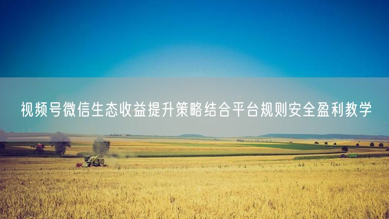 视频号微信生态收益提升策略结合平台规则安全盈利教学