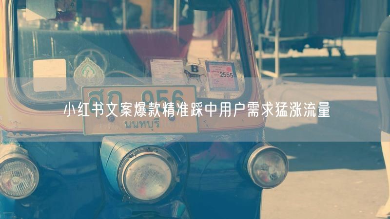 小红书文案爆款精准踩中用户需求猛涨流量